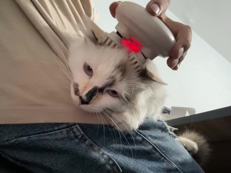 Massageador elétrico portátil pequeno de cabeça, ombro e pescoço